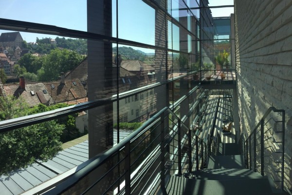 Giyotin Cam Sistemleri